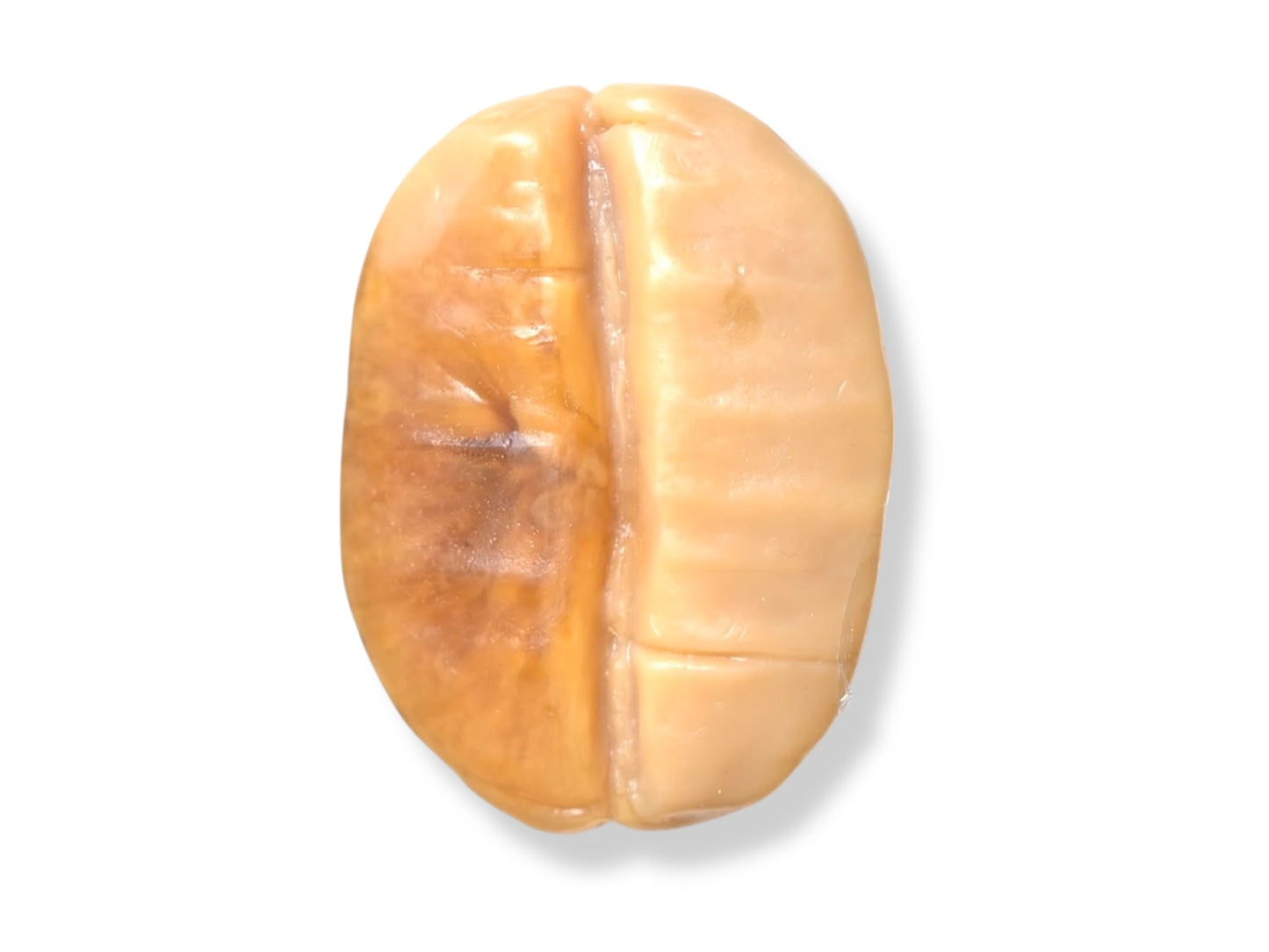 Coffee Bean Aroma Soap