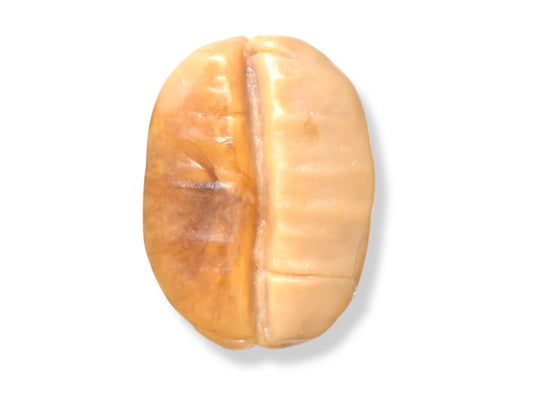 Coffee Bean Aroma Soap